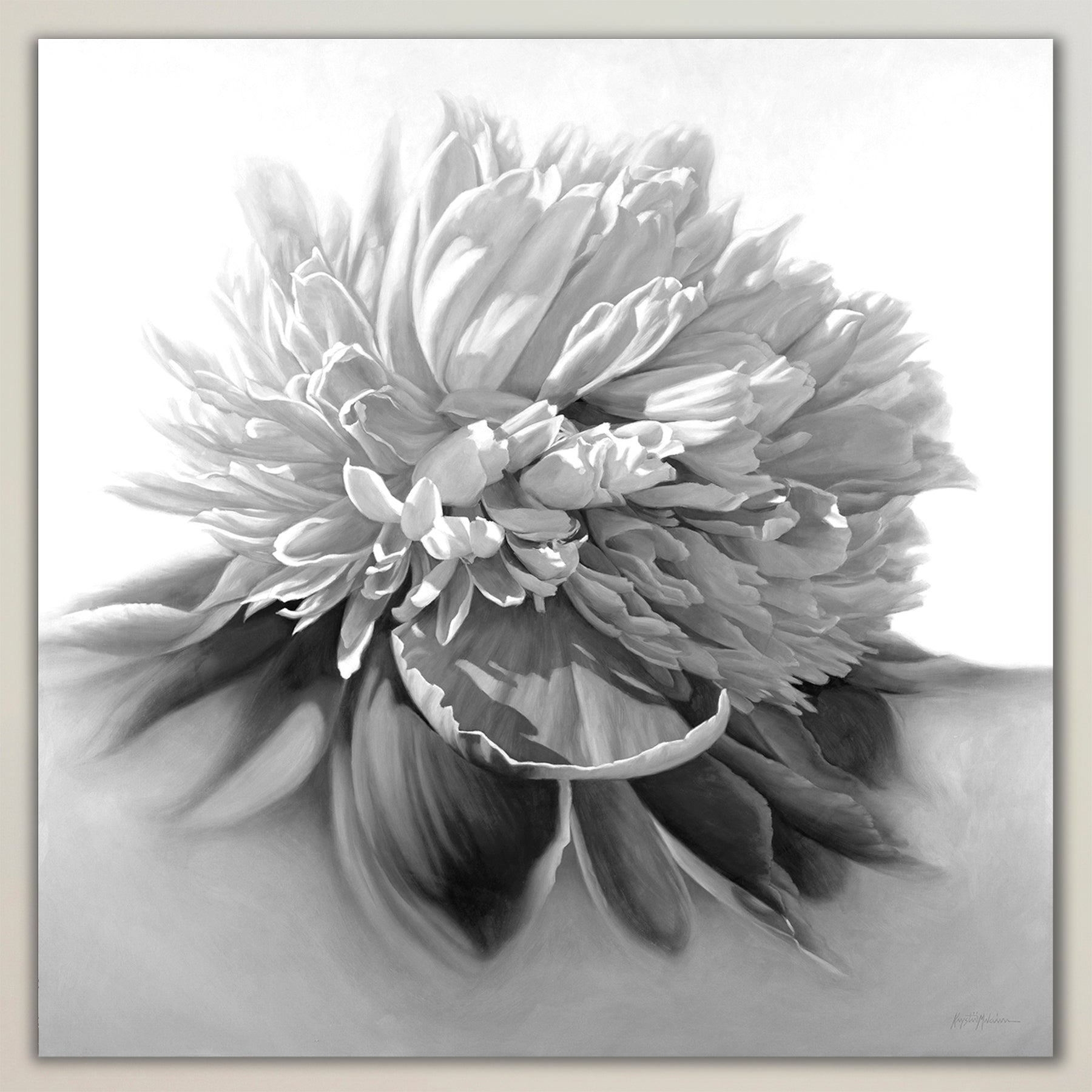 Peony in Black & White ~ Square Canvas Edition Print