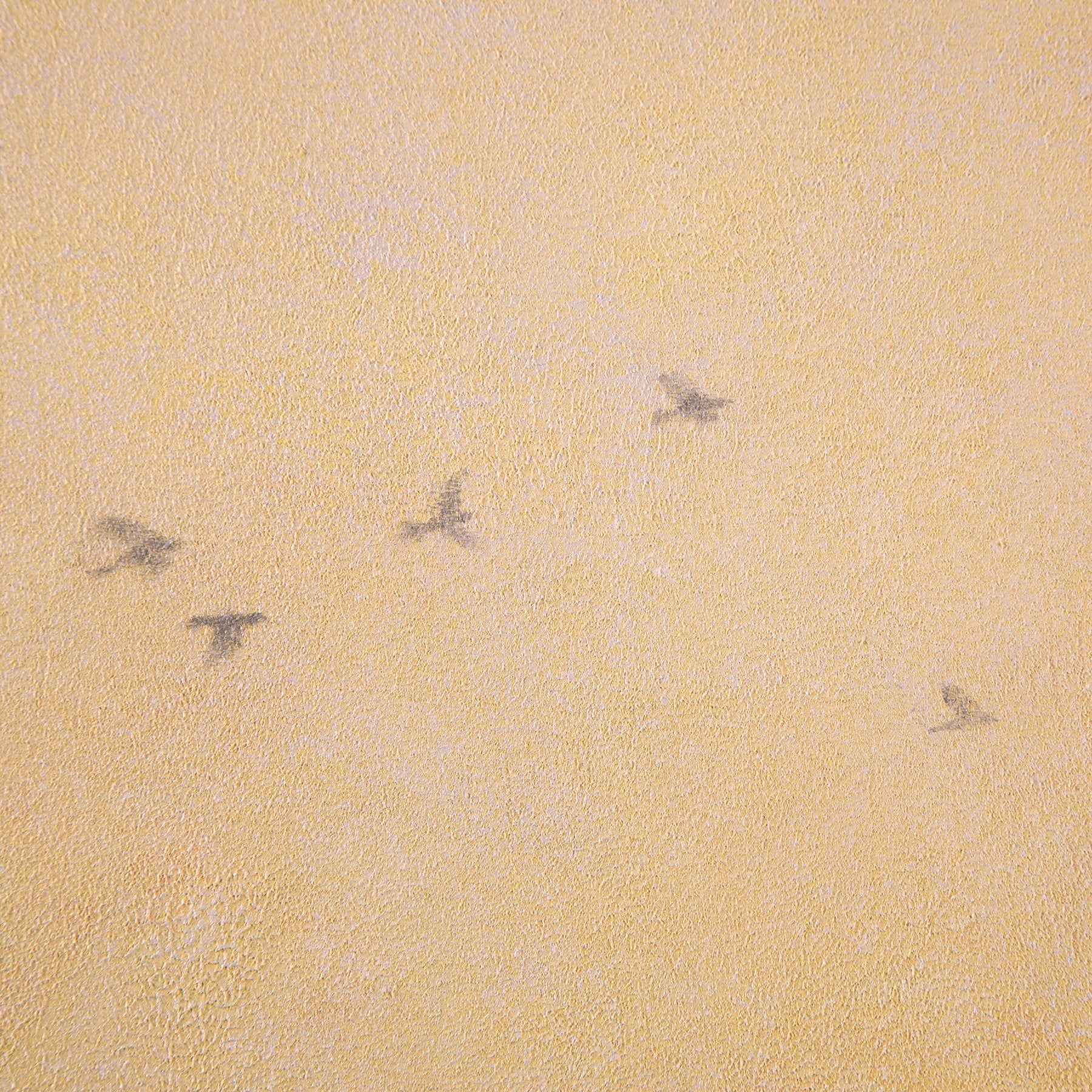 Above ~ 24"x24" ~ Original oil painting on panel