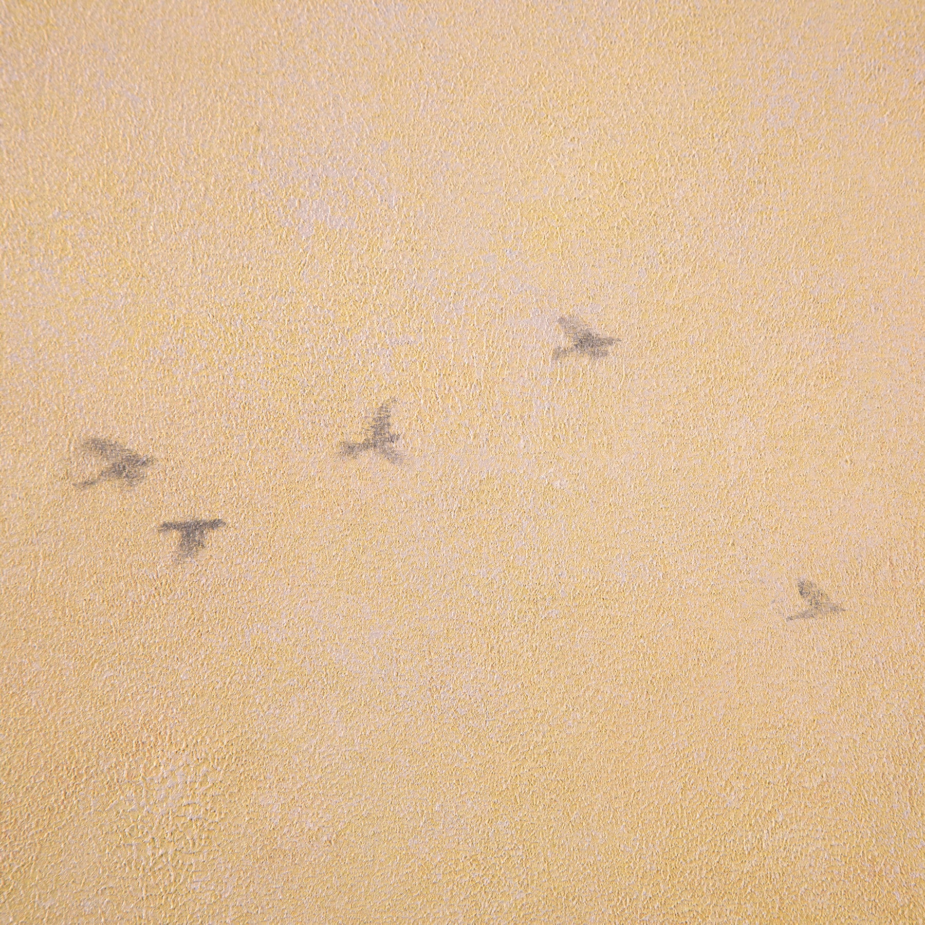 Above ~ Square Canvas Edition Print